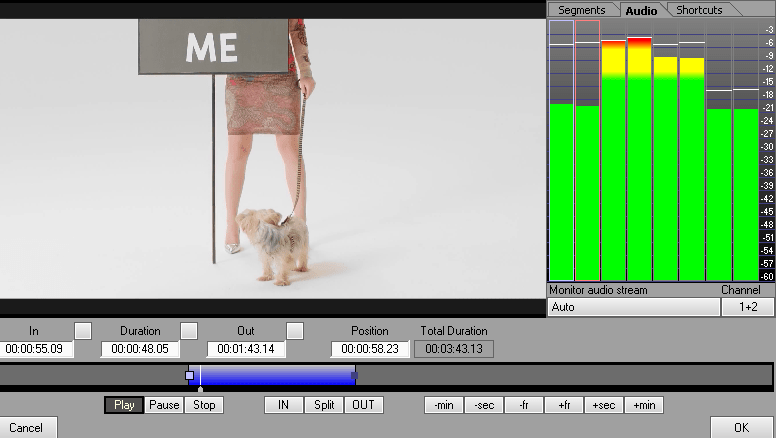 AD6UJKDH2_Virtually-Trim-Split-Files